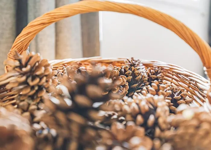 Les Bulles Insolites Дом отдыха